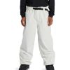 Neige Pour Hommes DC Shoes | Pantalon De Neige Technique Primo Pour Hommes Bouleau Argente