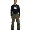 Neige Pour Hommes DC Shoes | Pantalon De Neige Technique Code Pour Hommes Capres