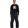 Neige Pour Hommes DC Shoes | Pantalon De Neige Technique Squadron 30K Pour Hommes Noir