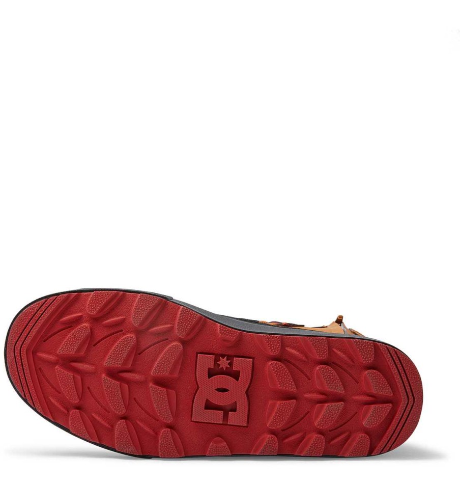 Hommes DC Shoes Bottes D'Hiver | Chaussures Resistantes A L'Eau Dc Reach Pour Hommes Ble/Noir