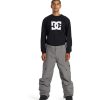 Neige Pour Hommes DC Shoes | Pantalon De Neige Technique Banshee Pour Hommes Etain